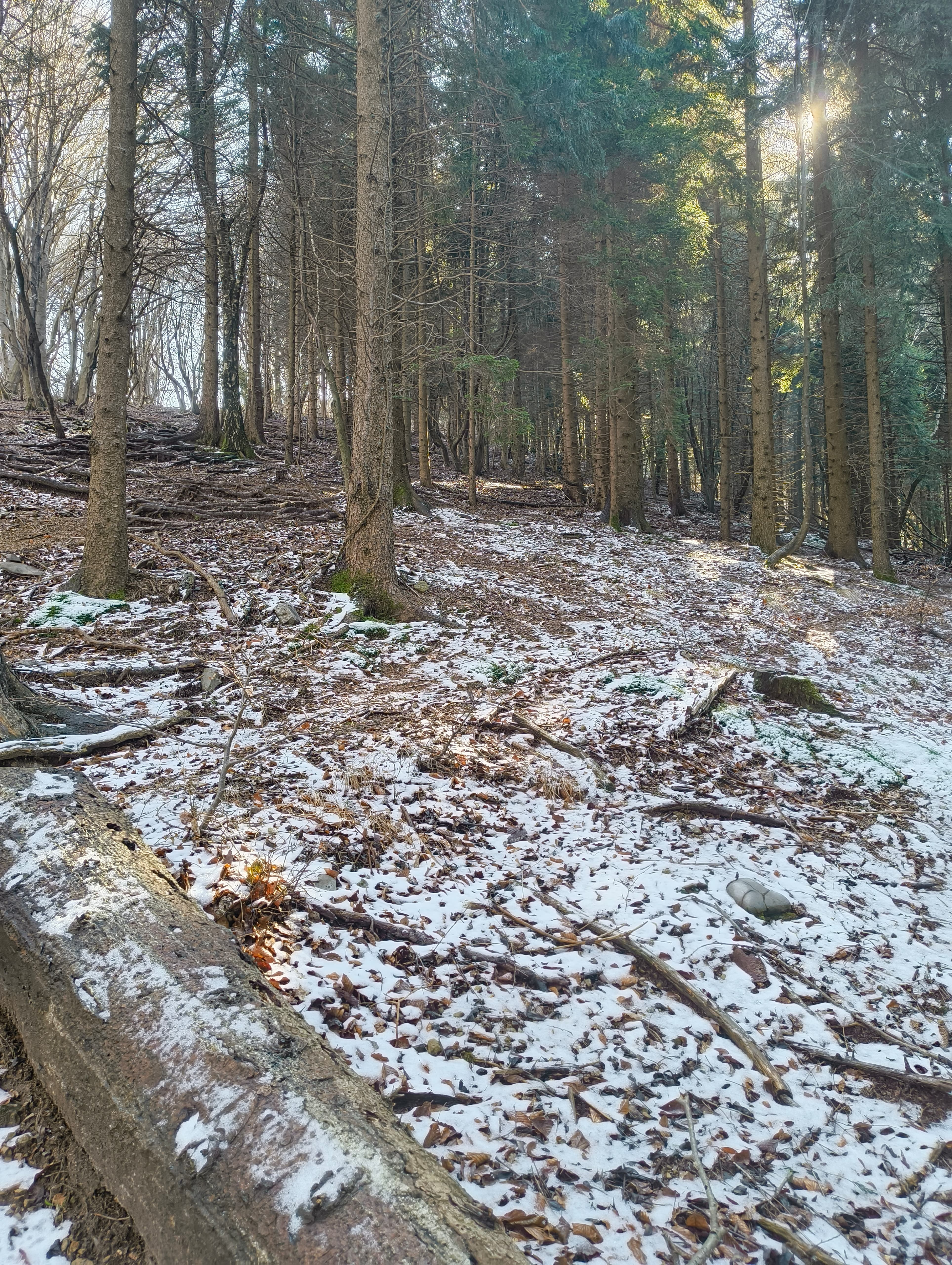 Foto n° 5 del trekking Corno Orientale │ Ferrata 30°